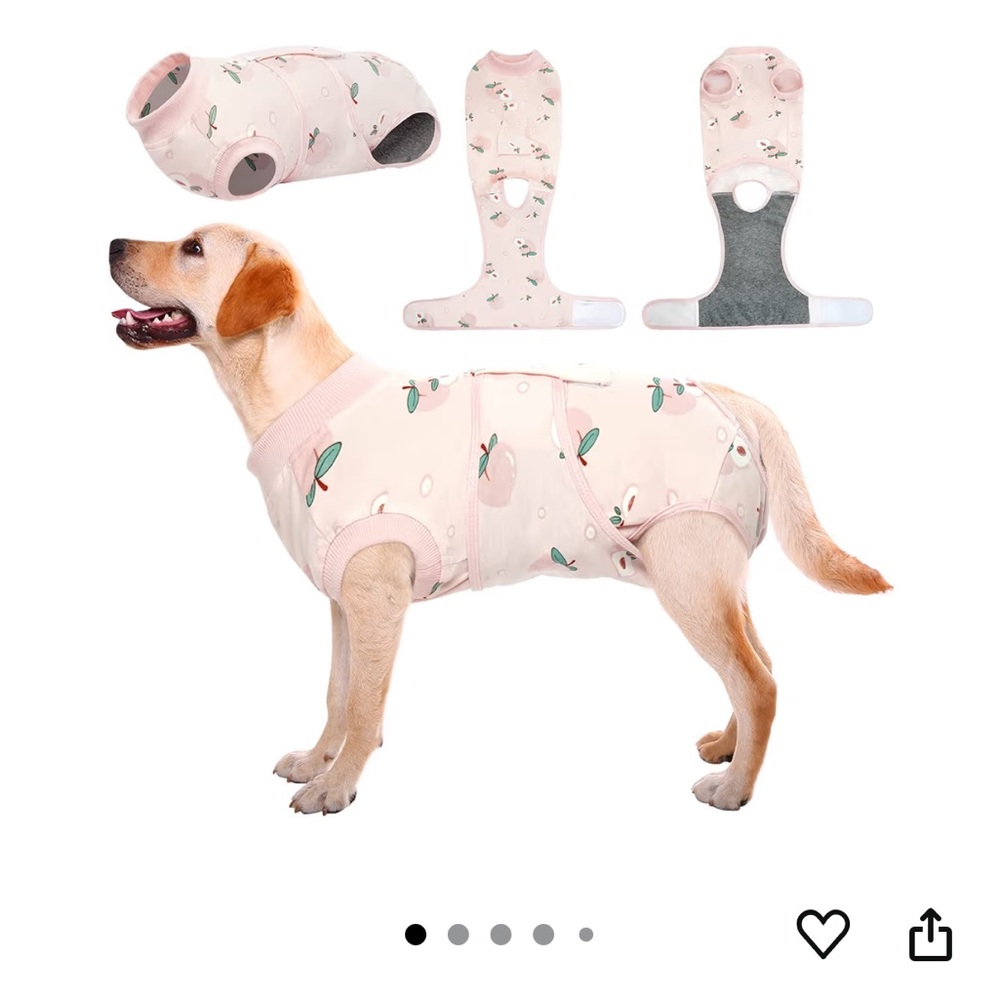 Kuoser Recovery Suit for Dogs Cats After Surgery